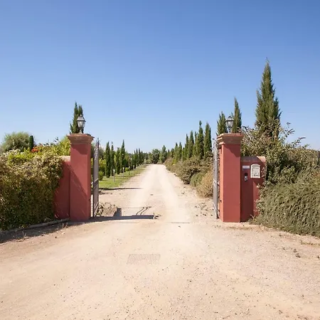 Bed & Breakfast Il Casale Bolgherese *